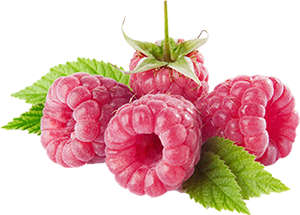 raspberry