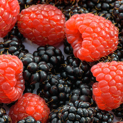 berries