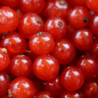 berries