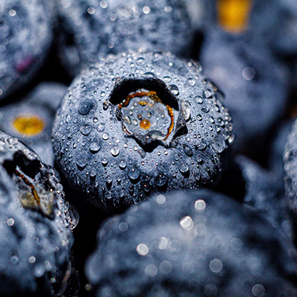 berries