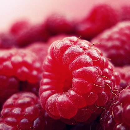 berries