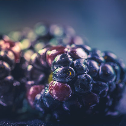 berries