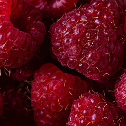 berries