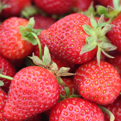 berries